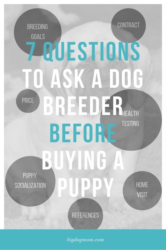 7 Questions to Ask a Dog breeder before buying a puppy