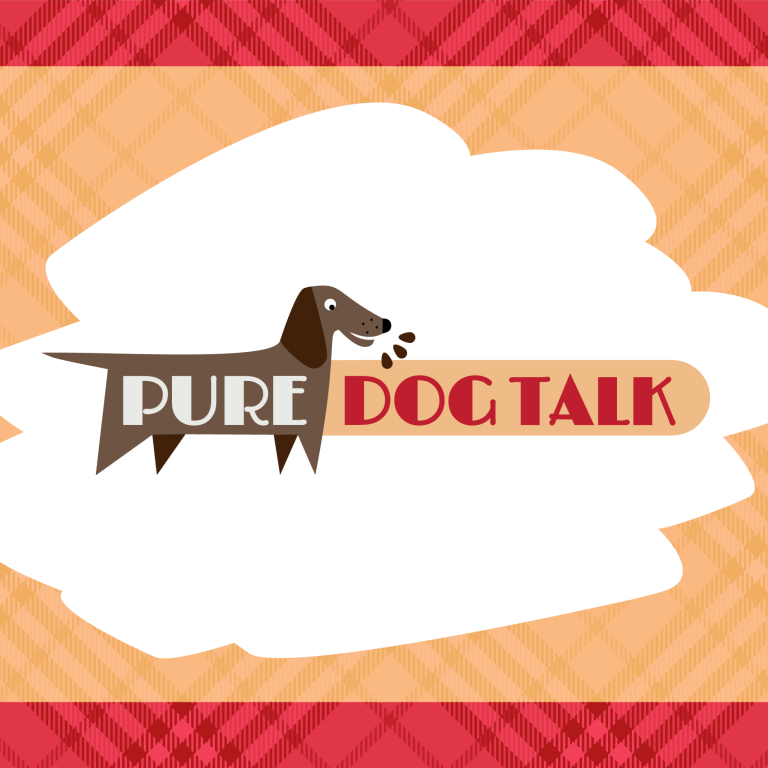 Pure Dog Talk Host Shares Her Journey From Breeder To Podcaster