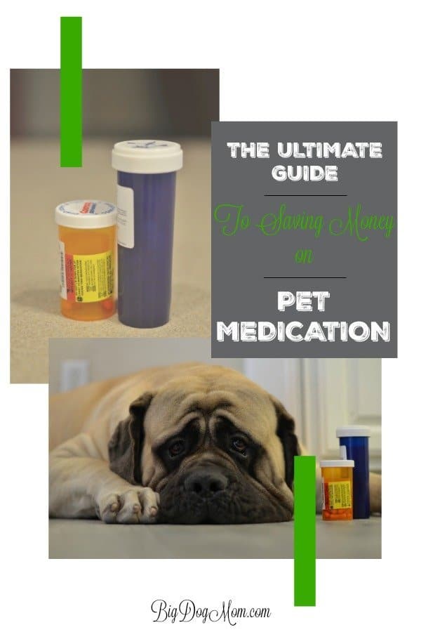 How to Save Money on Pet Meds