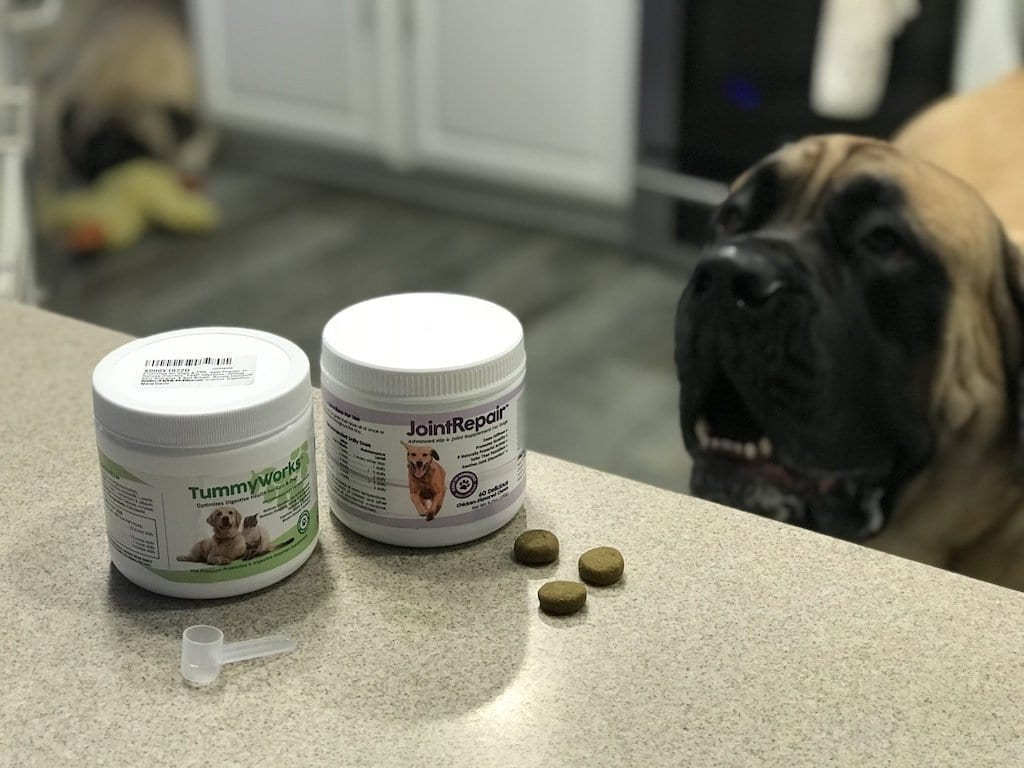 Pet Supplements for Dogs