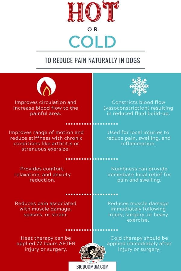 What Is A Natural Pain Reliever For Dogs