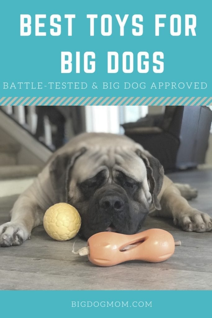 best toys for big dogs