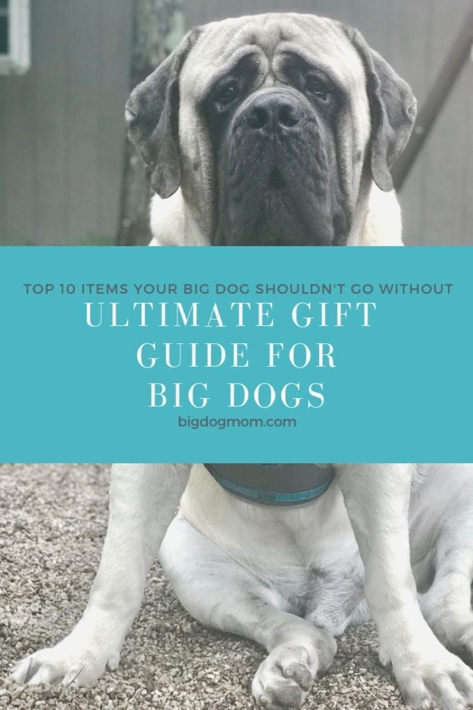 Ultimate big dog gift guide