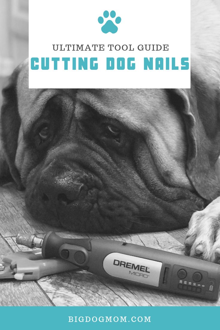 Best dremel outlet dog nails