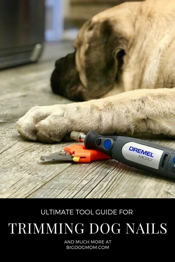 Nail Clipper or Dremel for Dog Nails Tool Guide - Pin 2