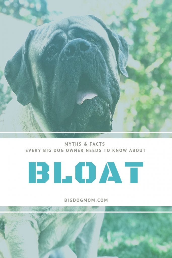 Bloat In Dogs 7 Simple Steps That Can Save Your Dog Fast Images, Photos, Reviews