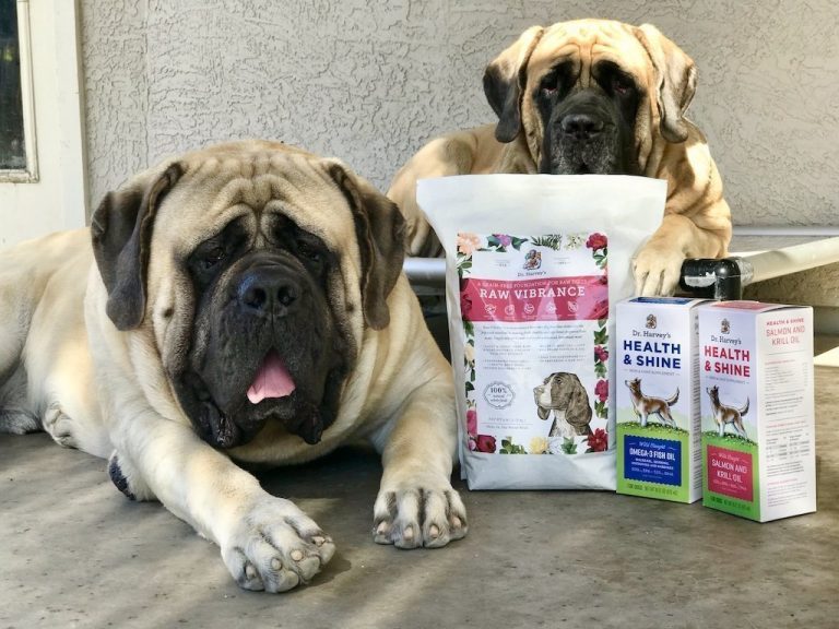 My Honest Review of Dr. Harvey’s Raw Dog Food [For Big Dogs]