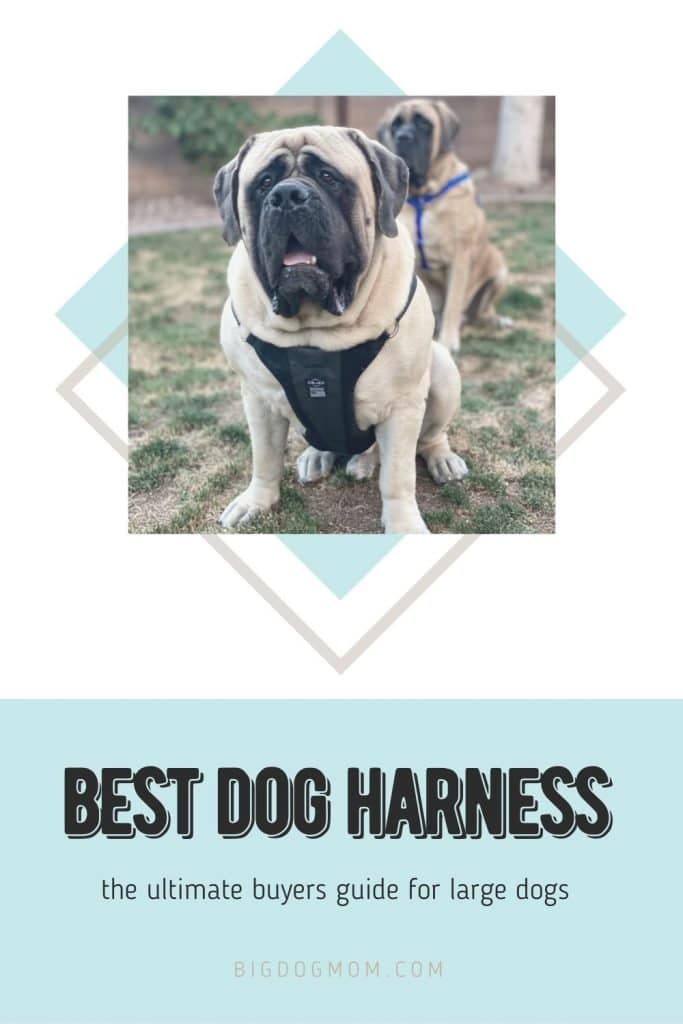 what is the strongest leash for extra large dog breeds