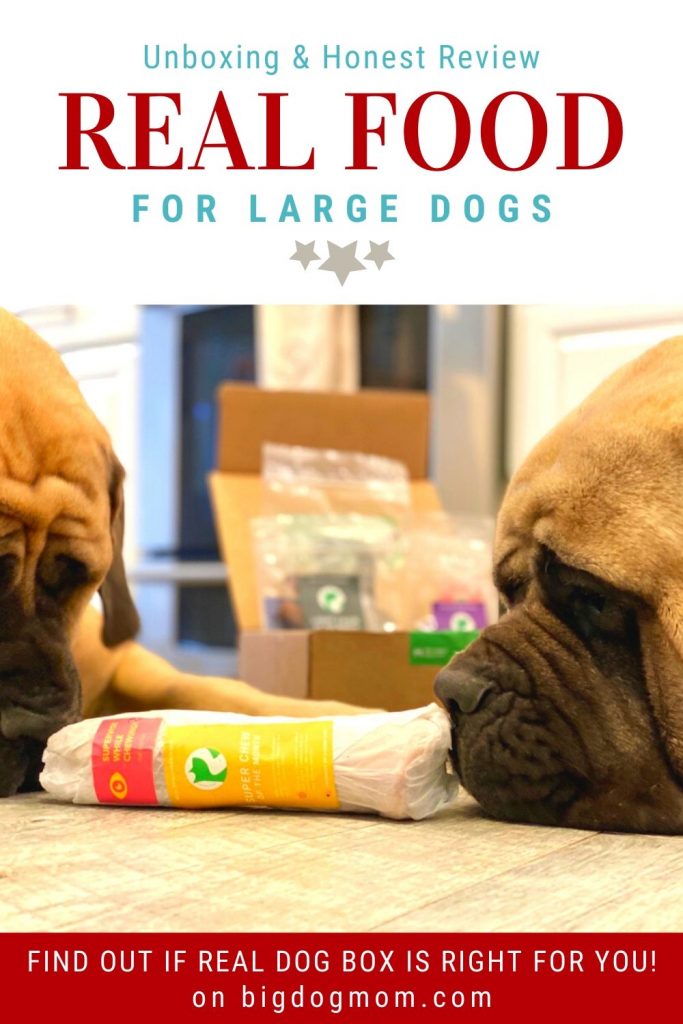 Dog box deals reviews