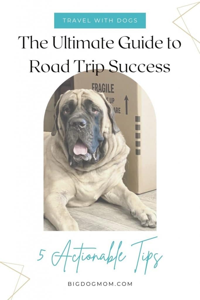 Traveling With Dogs Made Easy: 5 Tips For Road Trip Success [Large Dogs]