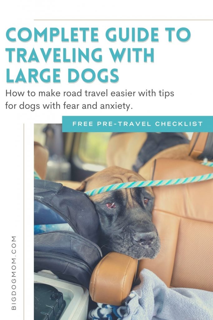 Traveling With Large Dogs