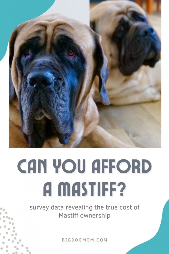 how much does it cost to own a mastiff