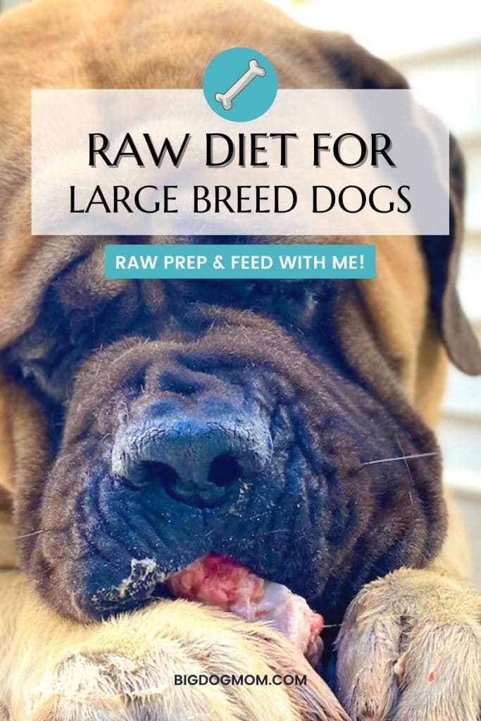 Raw diet for cheap large breed dogs