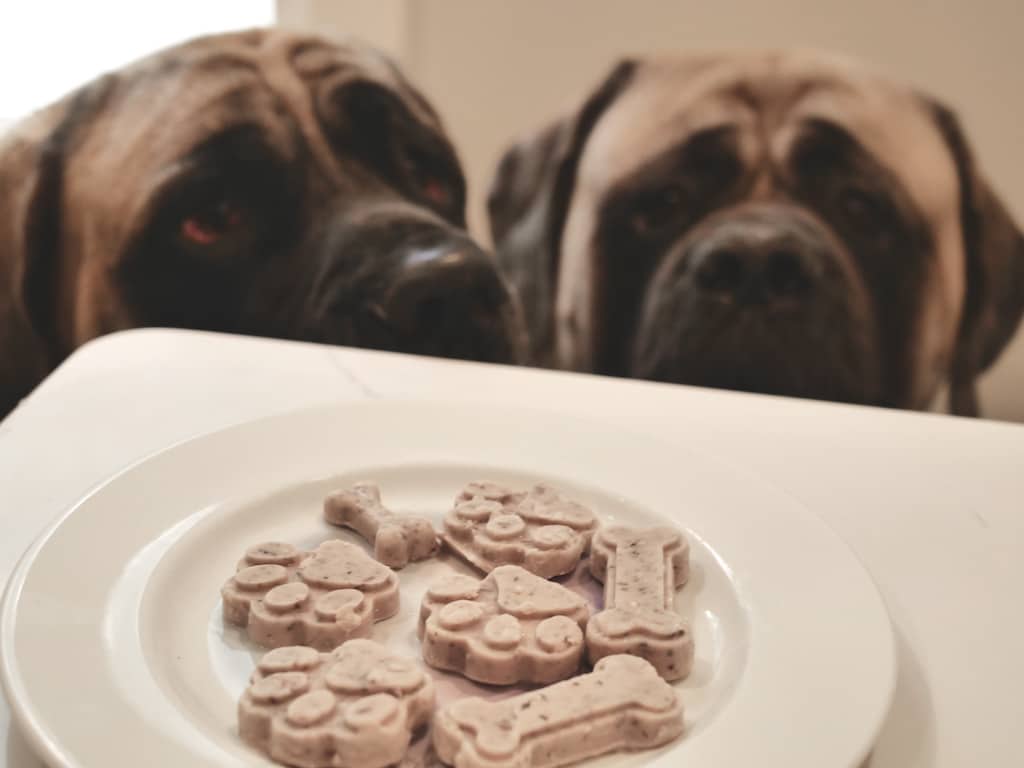 RECIPE: Healthy Frozen Goat Milk Treats For Dogs That Help With