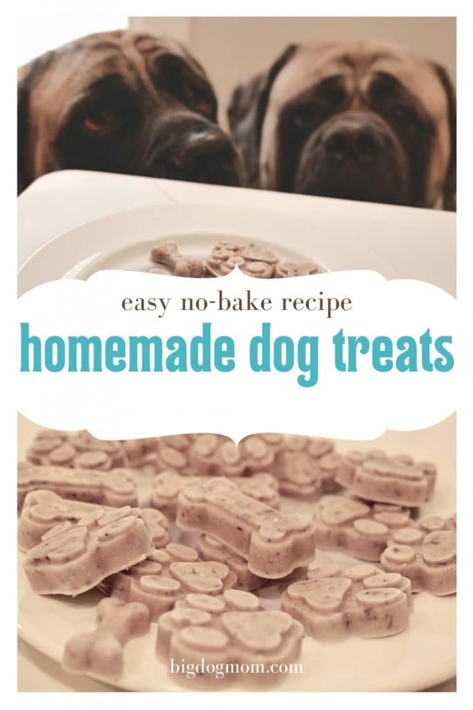 RECIPE: Healthy Frozen Goat Milk Treats For Dogs That Help With