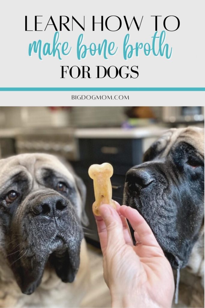 Bone broth for dogs - Slow cooker bone broth recipe by Big Dog Mom