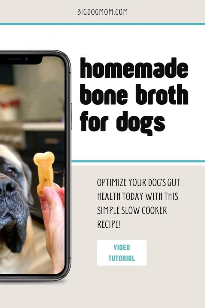Best Bone Broth for Dogs - Easy Homemade Bone Broth Recipe