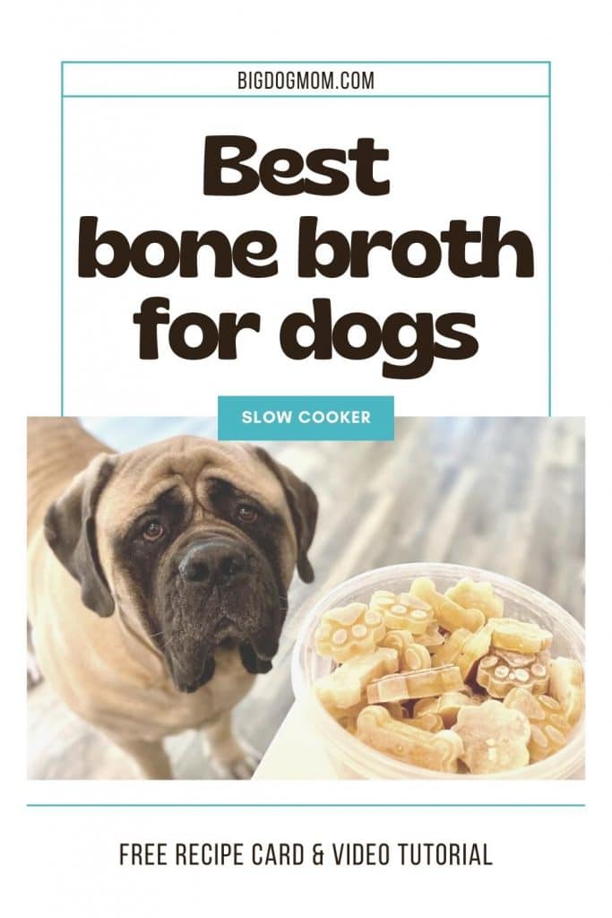 are cooked lamb bones safe for dogs