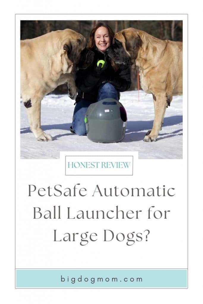 How to exercise dogs in winter - automatic ball thrower for dogs
