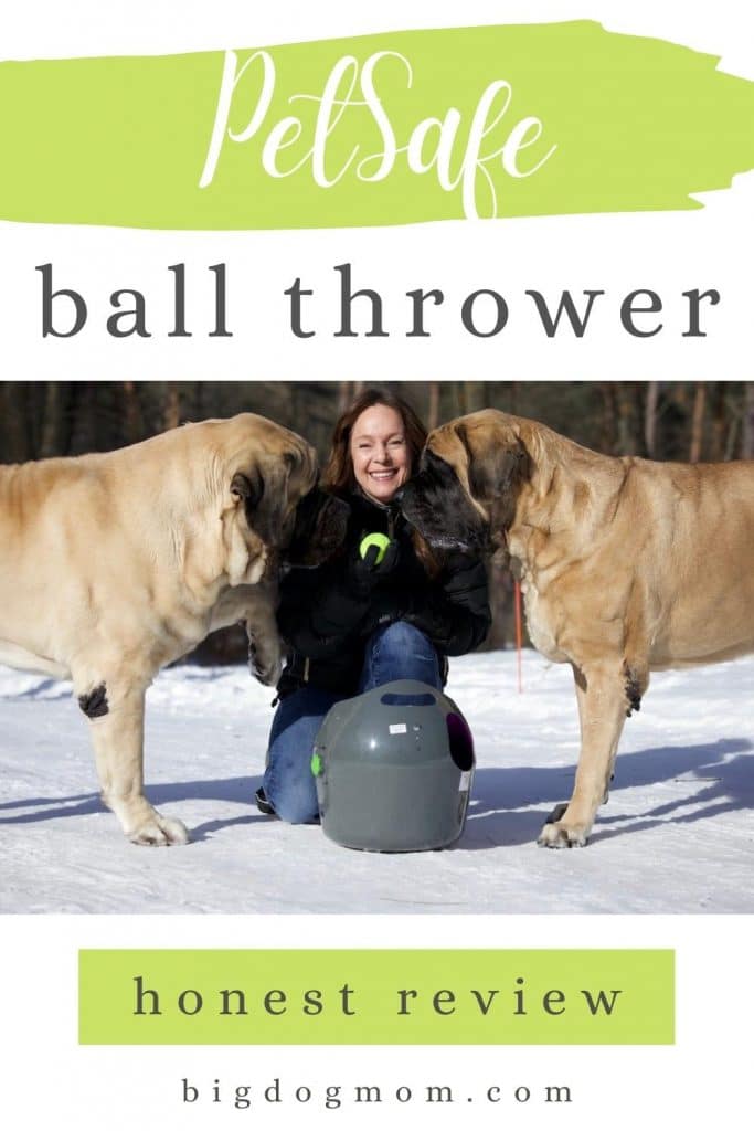 Petsafe ball hot sale launcher review