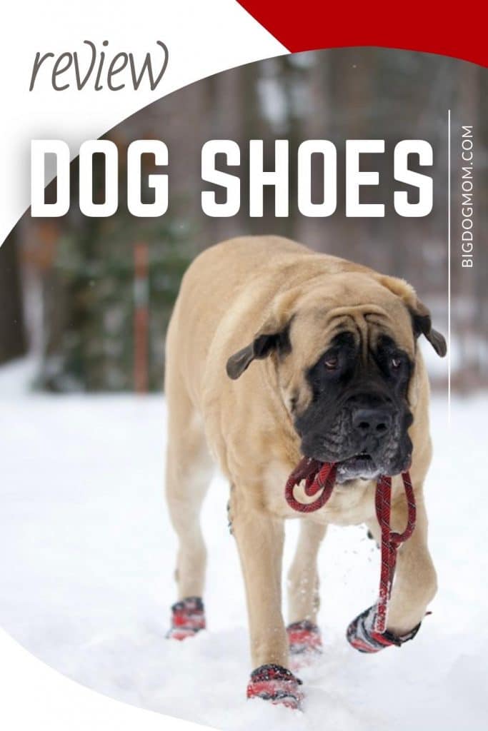 Dog Shoes For Large Dogs Does Your Dog Need Paw Protection