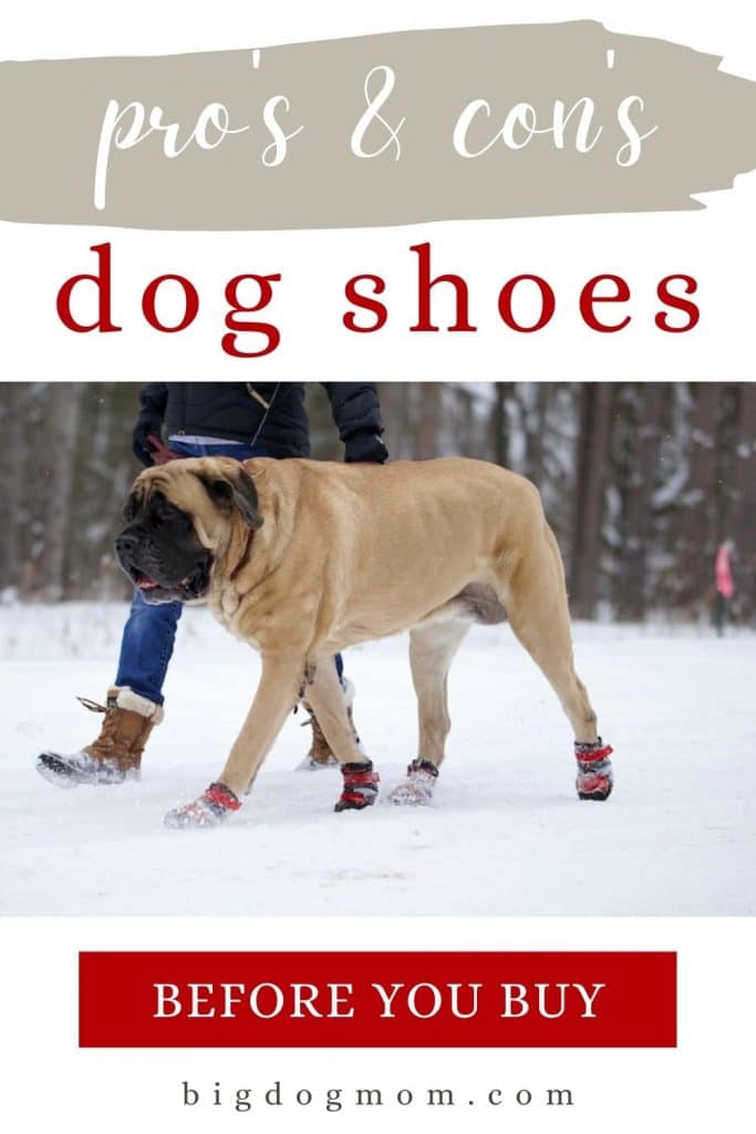 Giant breed hot sale dog boots