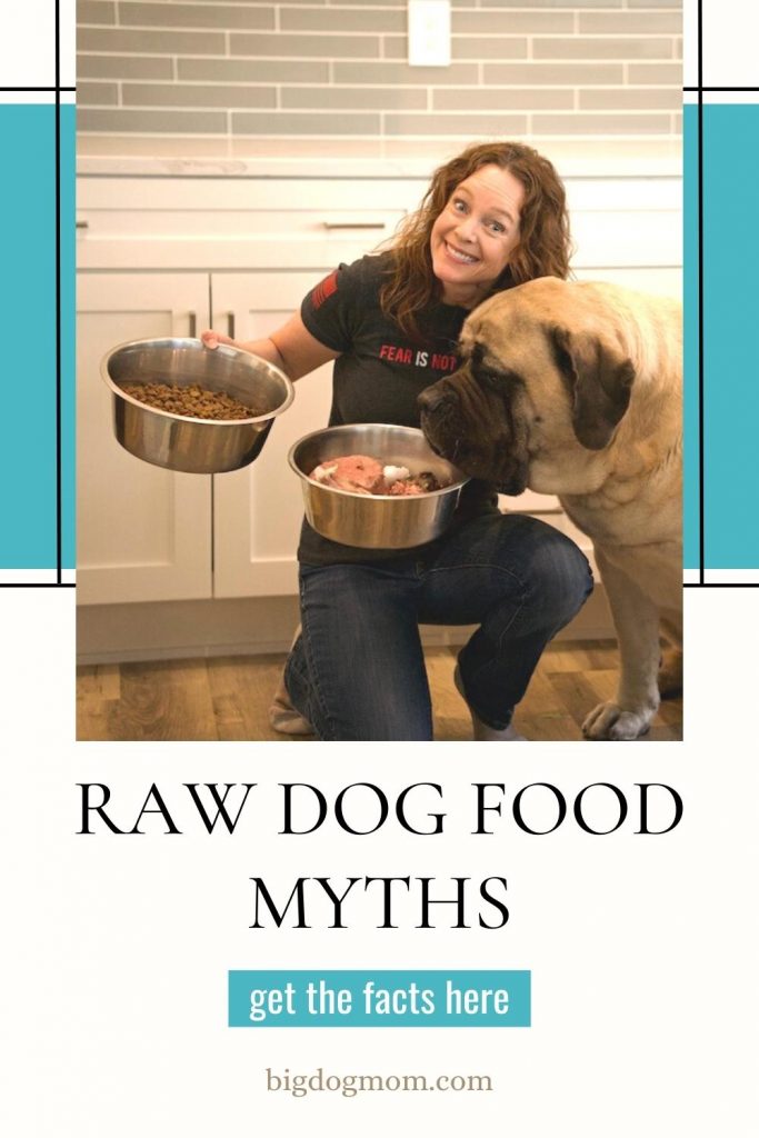 The Great Big Dog Food Myth