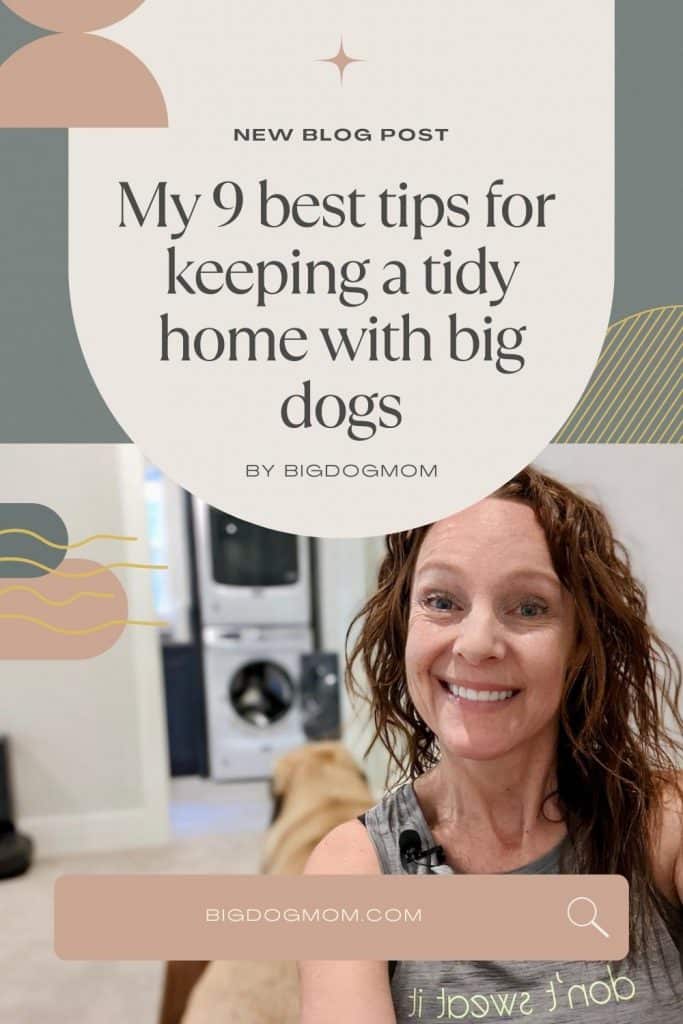 how can i keep my house clean with a dog