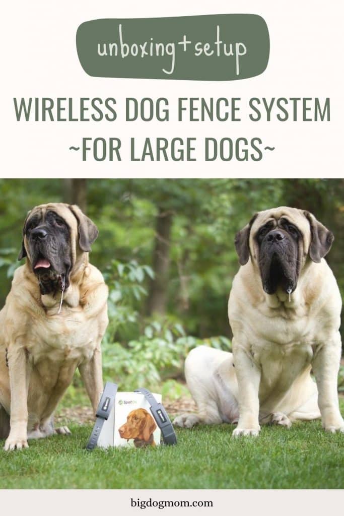 Dog containment systems for large outlet areas