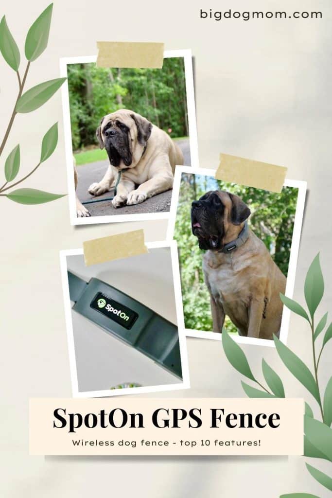 The World's Most Innovative Dog Fence – SpotOn GPS Fence