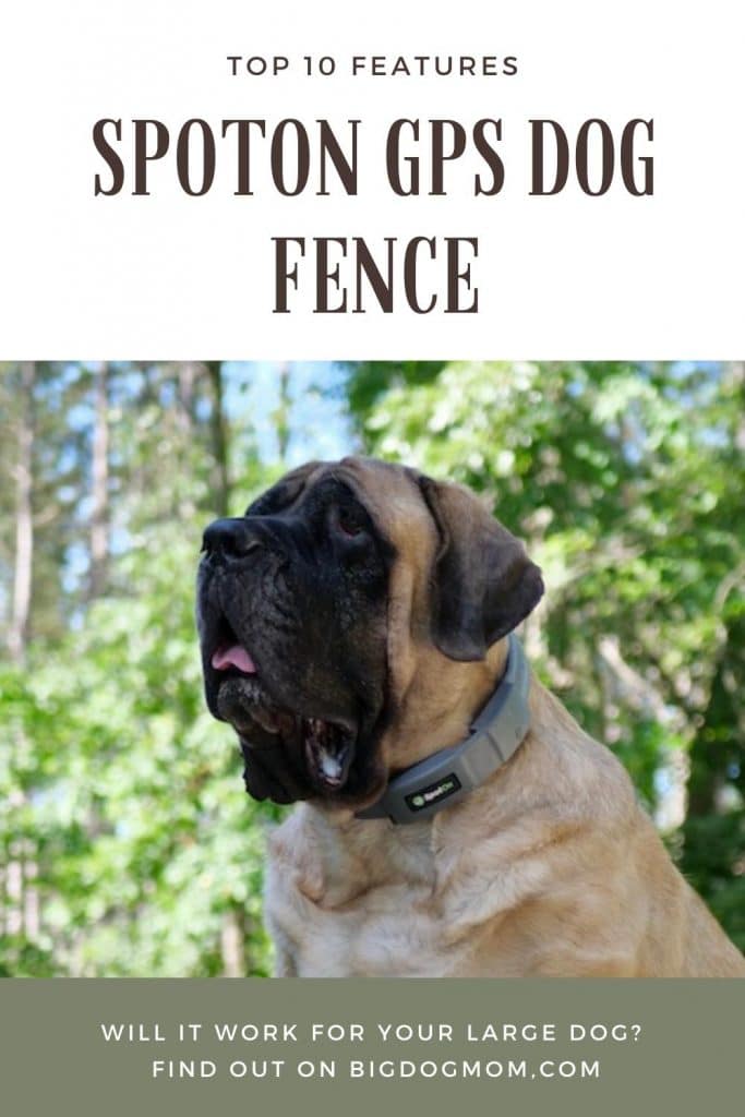 The World's Most Innovative Dog Fence – SpotOn GPS Fence