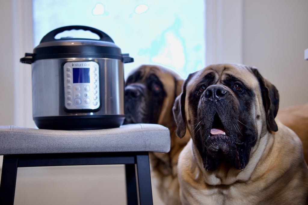 Instant Pot Bone Broth for Dogs by Big Dog Mom