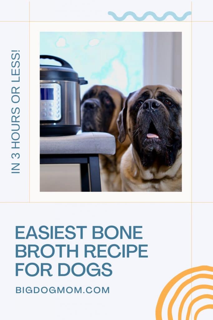 Bone broth for 2025 dogs instant pot