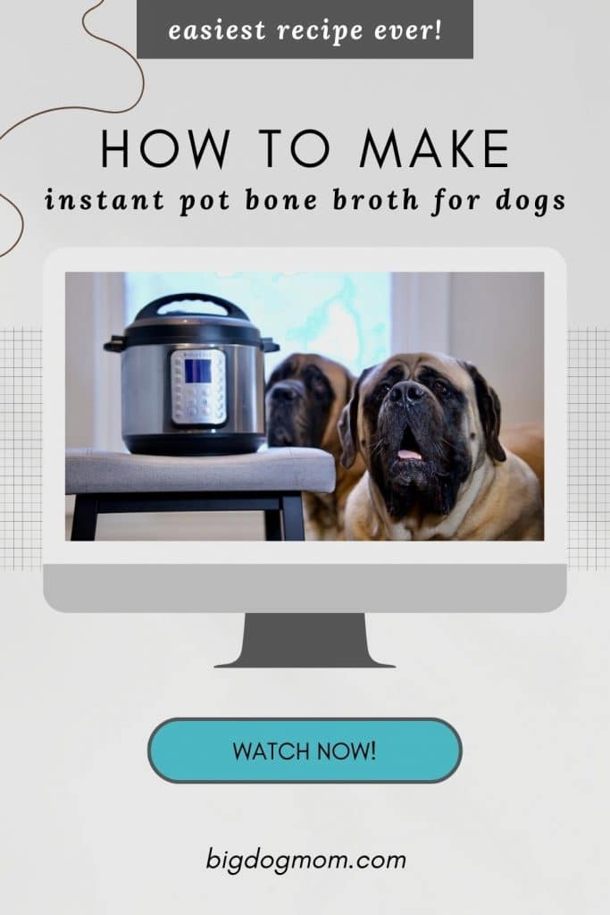 Bone broth recipe 2025 for dogs instant pot