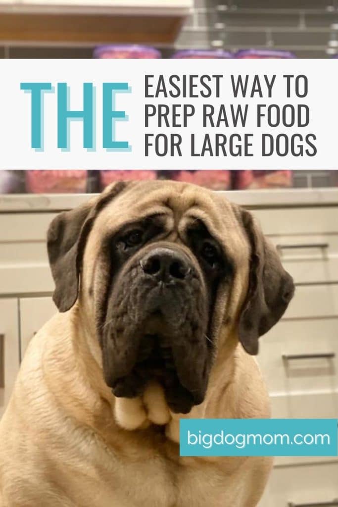 How To Meal Prep Raw Dog Food for Large Dogs [EASY] by Big Dog Mom