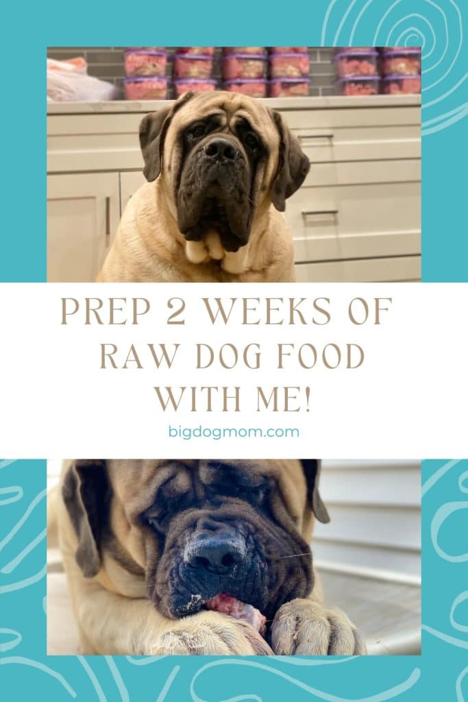 https://bigdogmom.com/wp-content/uploads/2023/02/Raw-Dog-Food-Meal-Prep-Pin-2-683x1024.jpg