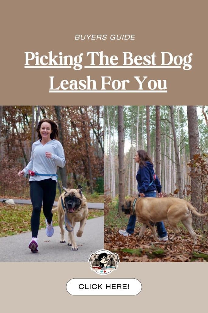 The Ultimate Guide To Picking The Best Dog Leash 2023